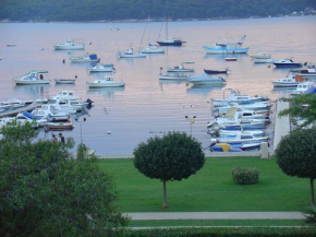 Apartments Demarin